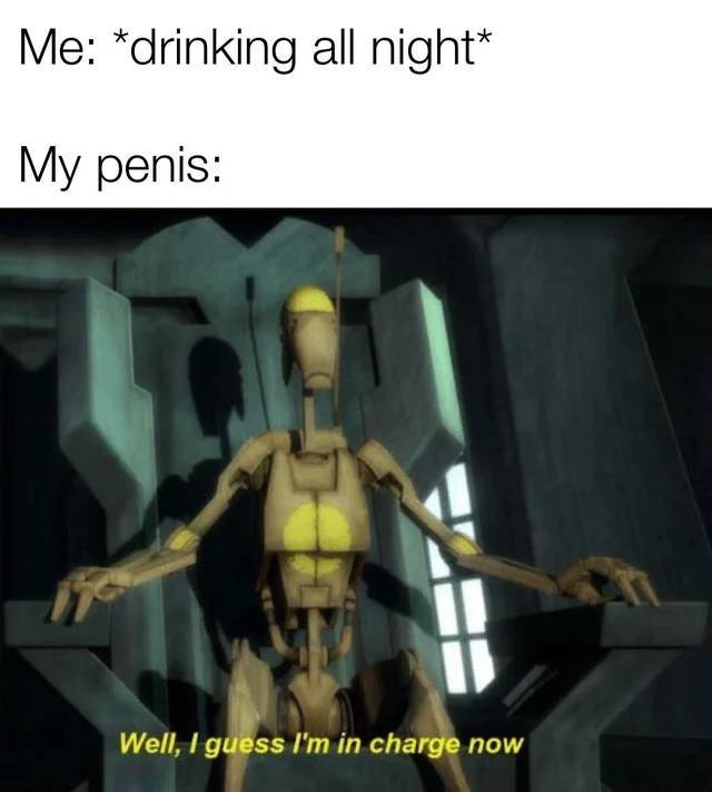 well i guess i m in charge now - Me drinking all night My penis Well, I guess I'm in charge now