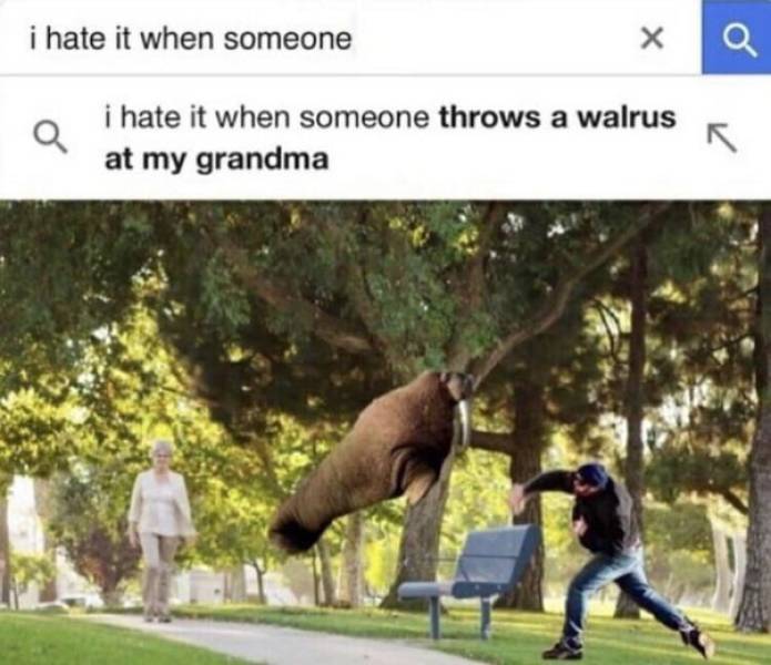 hate it when someone throws a walrus - i hate it when someone Q i hate it when someone throws a walrus at my grandma
