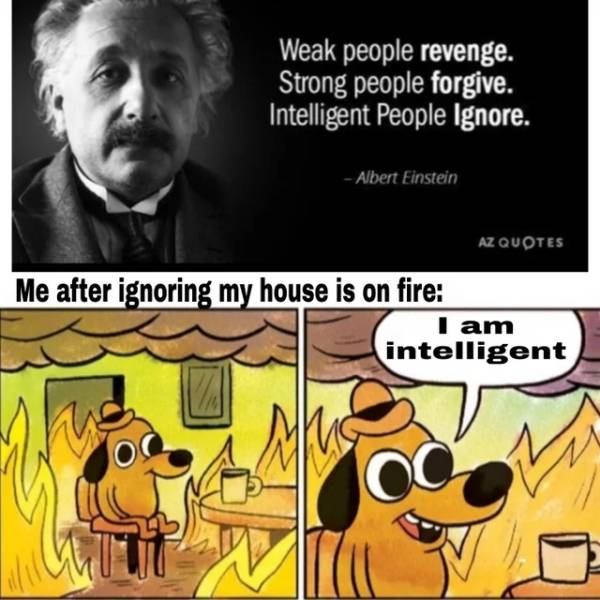 my current situation meme - Weak people revenge. Strong people forgive. Intelligent People Ignore. Albert Einstein Az Quotes Me after ignoring my house is on fire I am intelligent 2