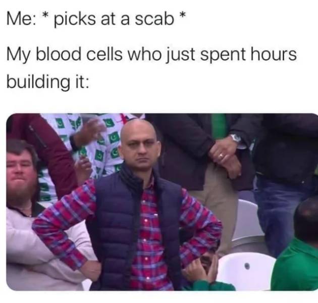 grogu memes - Me picks at a scab My blood cells who just spent hours building it Og