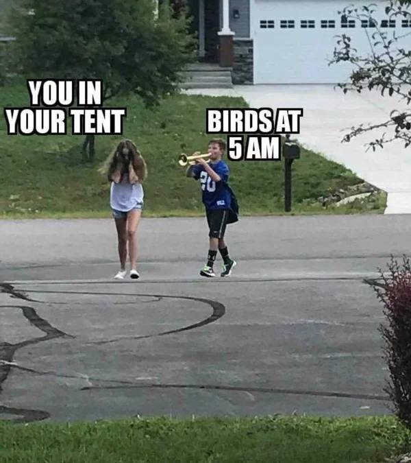 random pictures out of context - You In Your Tent Birds At 5 Am
