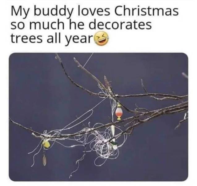 twig - My buddy loves Christmas so much he decorates trees all year