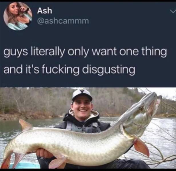 guys literally want one thing meme - Ash guys literally only want one thing and it's fucking disgusting