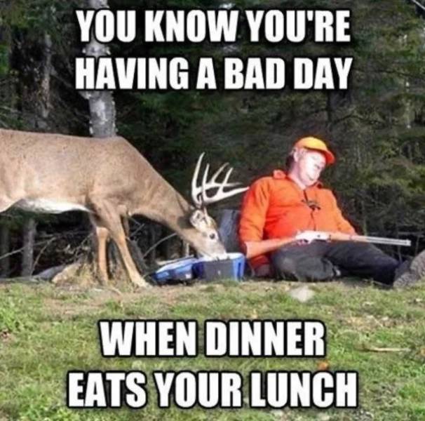 funny hunting - You Know You'Re Having A Bad Day When Dinner Eats Your Lunch