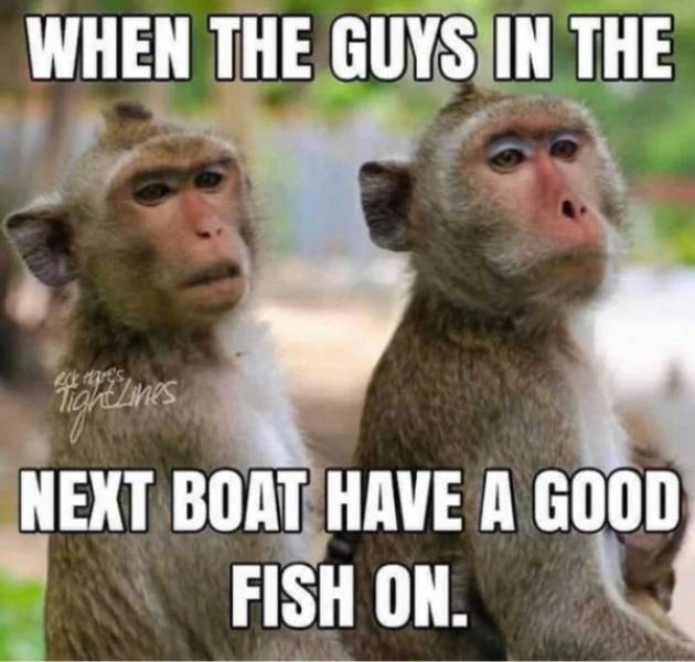 monkey fishing meme - When The Guys In The a Emre's Tightlines Next Boat Have A Good Fish On.