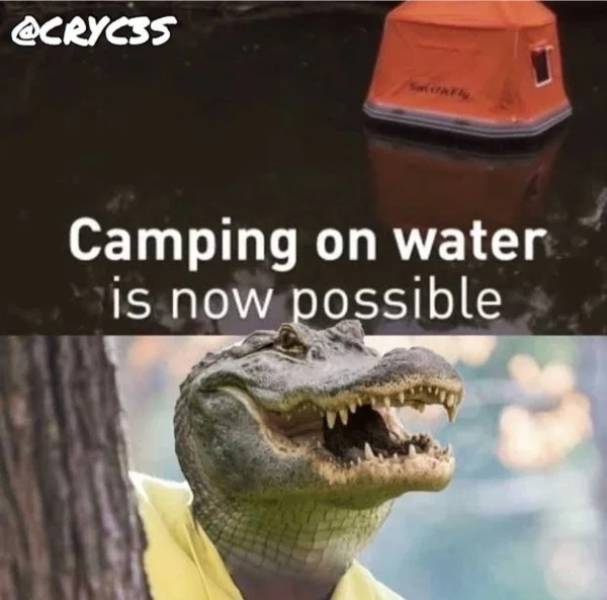 dark humor memes - Acrycss Camping on water is now possible