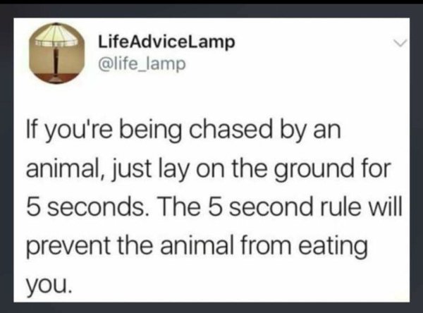 funny life tips - If you're being chased by an animal, just lay on the ground for 5 seconds. The 5 second rule will prevent the animal from eating you.
