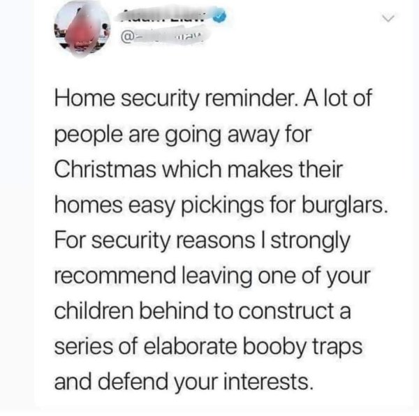 funny life tips - Home security reminder. A lot of people are going away for Christmas which makes their homes easy pickings for burglars. For security reasons I strongly recommend leaving one of your children behind to construct a series of elaborate boo