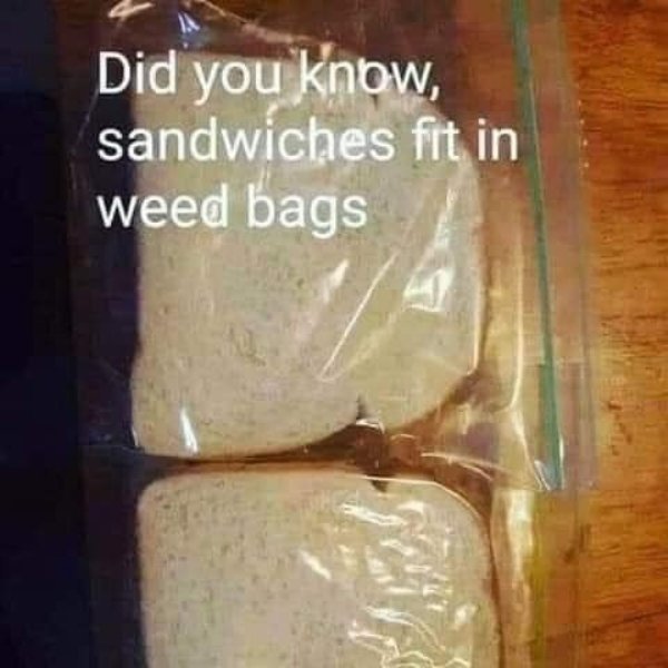 you can use weed bags for sandwiches - Did you know, sandwiches fit in weed bags