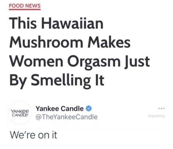 flag icon - Food News This Hawaiian Mushroom Makes Women Orgasm Just By Smelling It Yankee Yankee Candle Candtz drgraytang We're on it