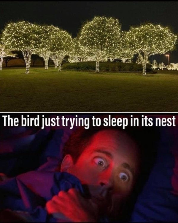 bird just trying to sleep in its nest meme - The bird just trying to sleep in its nest
