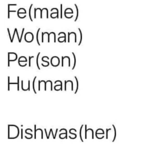 fe male wo man dishwas her - Female Woman Person Human Dishwasher