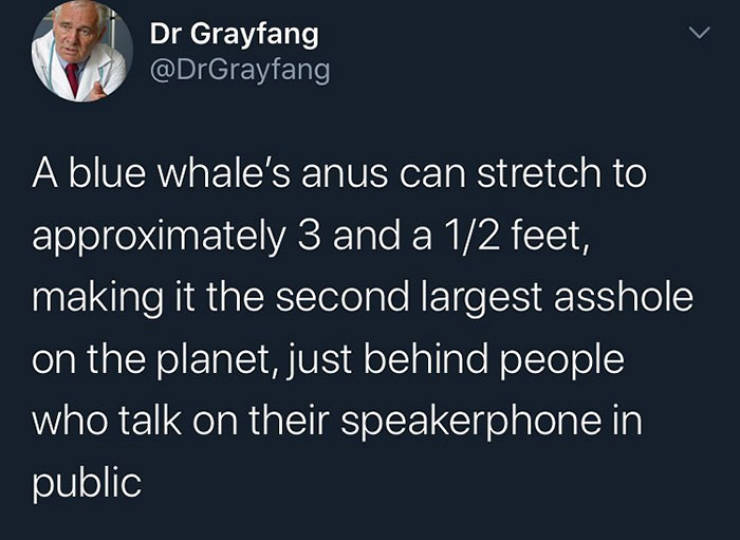 yall girls weird tweets - Dr Grayfang A blue whale's anus can stretch to approximately 3 and a 12 feet, making it the second largest asshole on the planet, just behind people who talk on their speakerphone in public