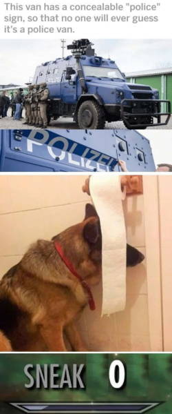 dog hiding from bath - This van has a concealable "police" sign, so that no one will ever guess it's a police van. Polizei Sneak 0