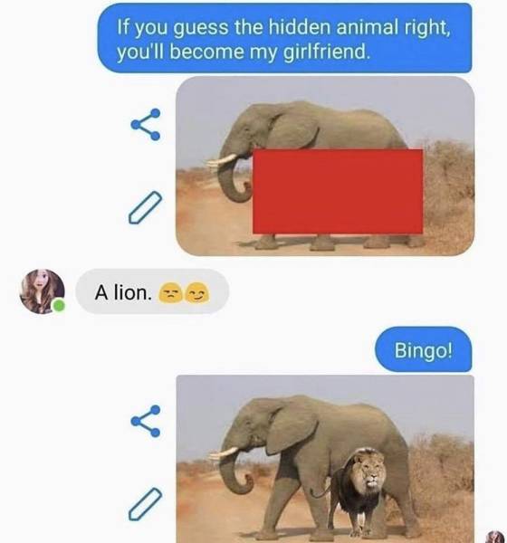 guess the animal text meme - If you guess the hidden animal right, you'll become my girlfriend. A lion. Bingo! o