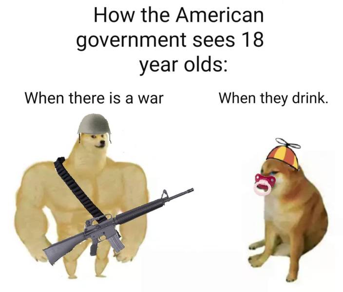 swole doge meme - How the American government sees 18 year olds When there is a war When they drink.