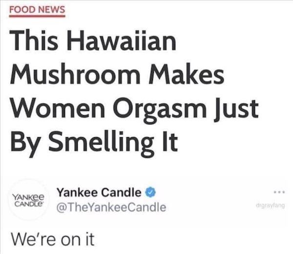 Yankee Candle - Food News This Hawaiian Mushroom Makes Women Orgasm Just By Smelling It Yankee Yankee Candle Candle digraylang We're on it