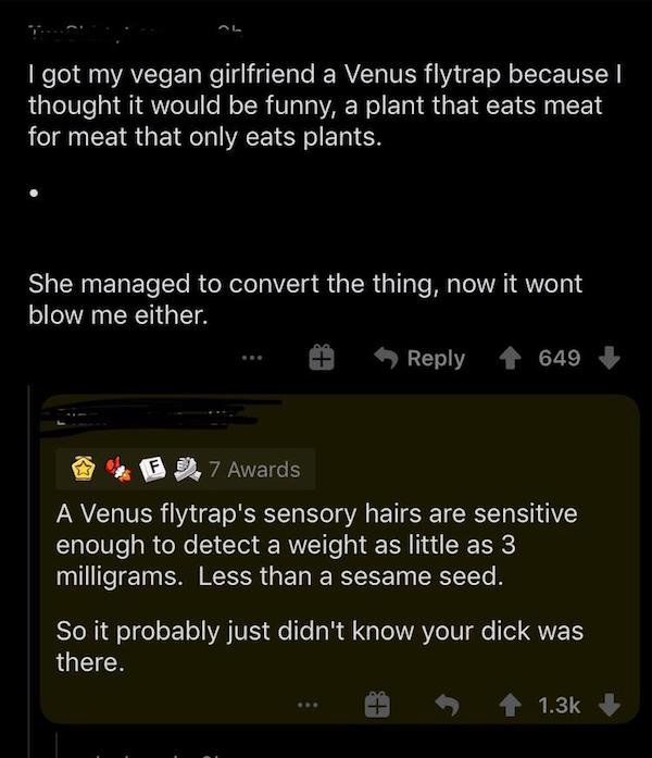 screenshot - I got my vegan girlfriend a Venus flytrap because I thought it would be funny, a plant that eats meat for meat that only eats plants. She managed to convert the thing, now it wont blow me either. 649 F 7 Awards A Venus flytrap's sensory hairs