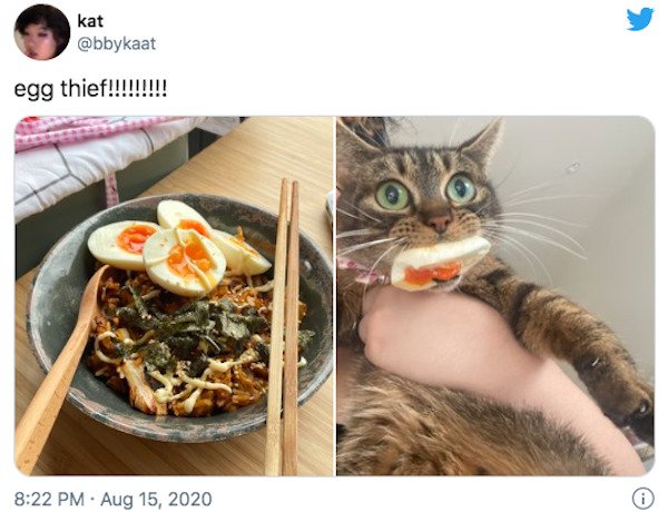 29 Of The Year's Best Pet Tweets