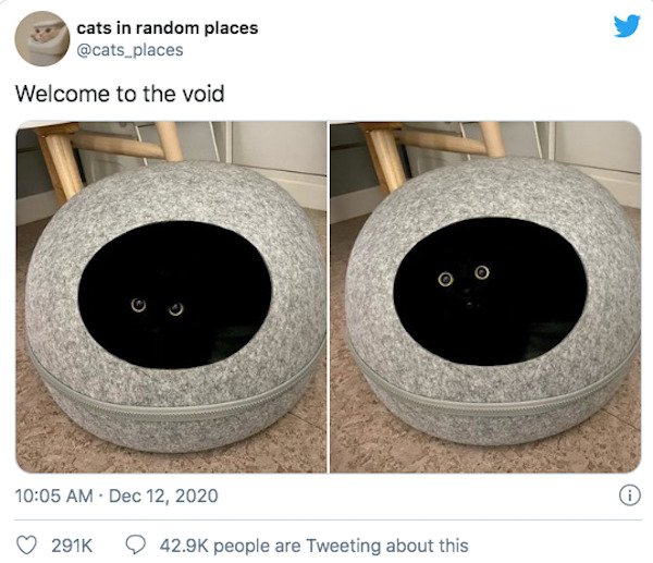 29 Of The Year's Best Pet Tweets