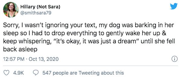 29 Of The Year's Best Pet Tweets