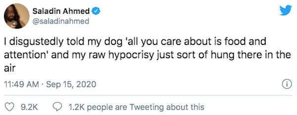 29 Of The Year's Best Pet Tweets