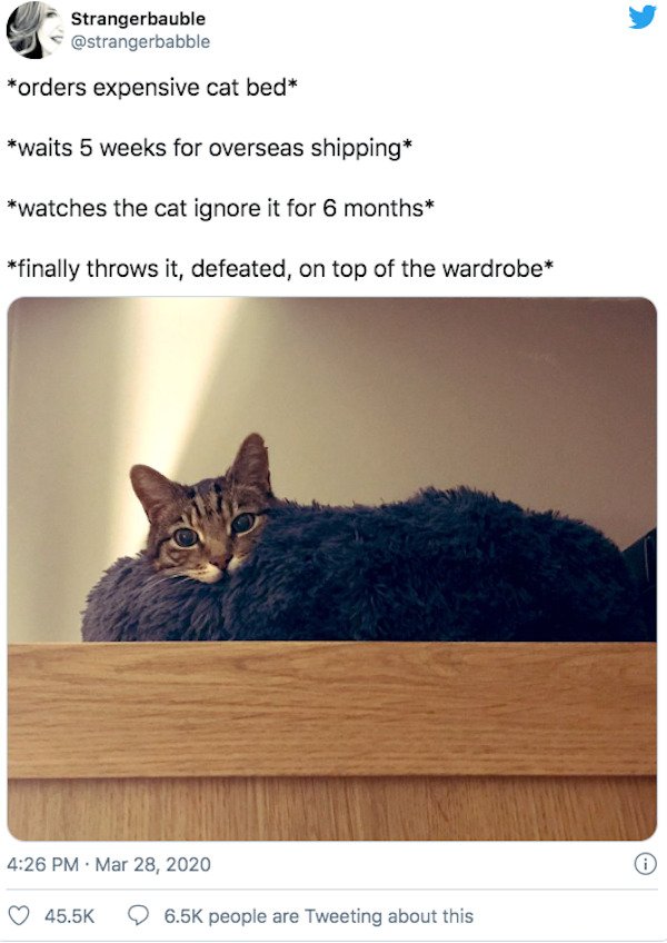 29 Of The Year's Best Pet Tweets