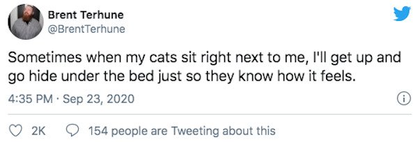 29 Of The Year's Best Pet Tweets