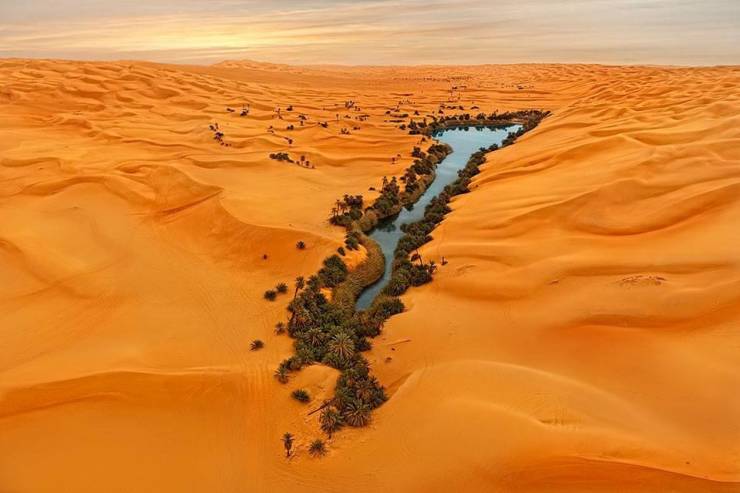 An oasis in Libya.