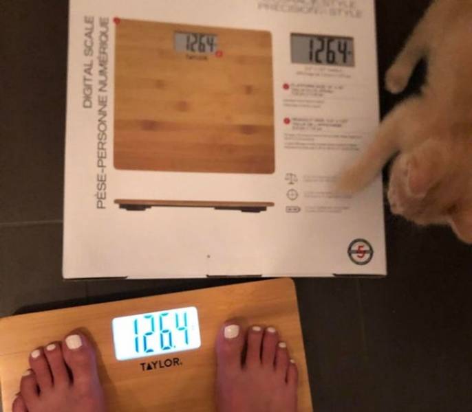 "When your girlfriend’s weight matches the sample photo."