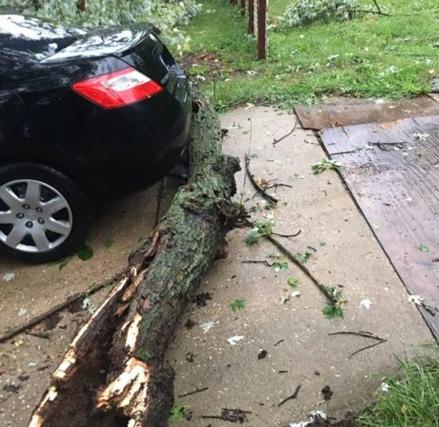 "Storm took down a tree but didn’t even scratch my car."