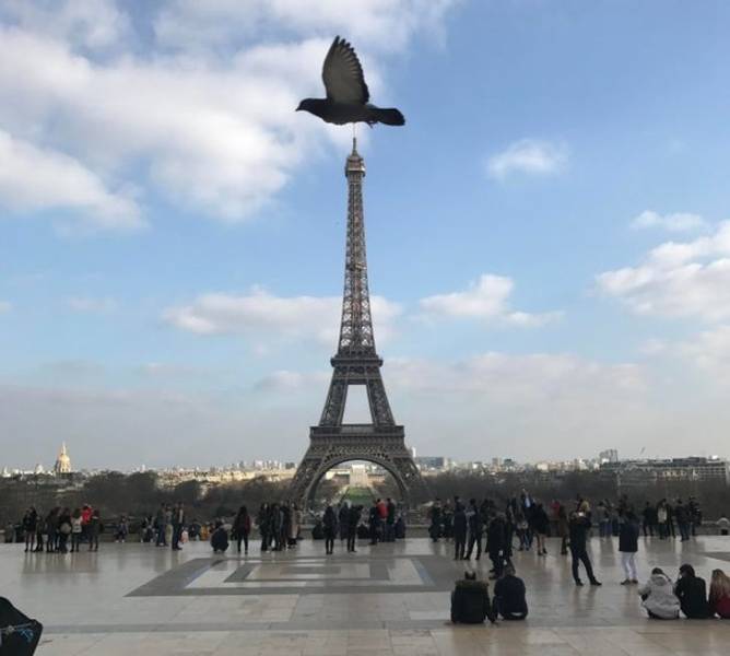 "Caught a quick photo of the Eiffel Tower while walking in Paris then noticed I was photo-bombed when I got home."