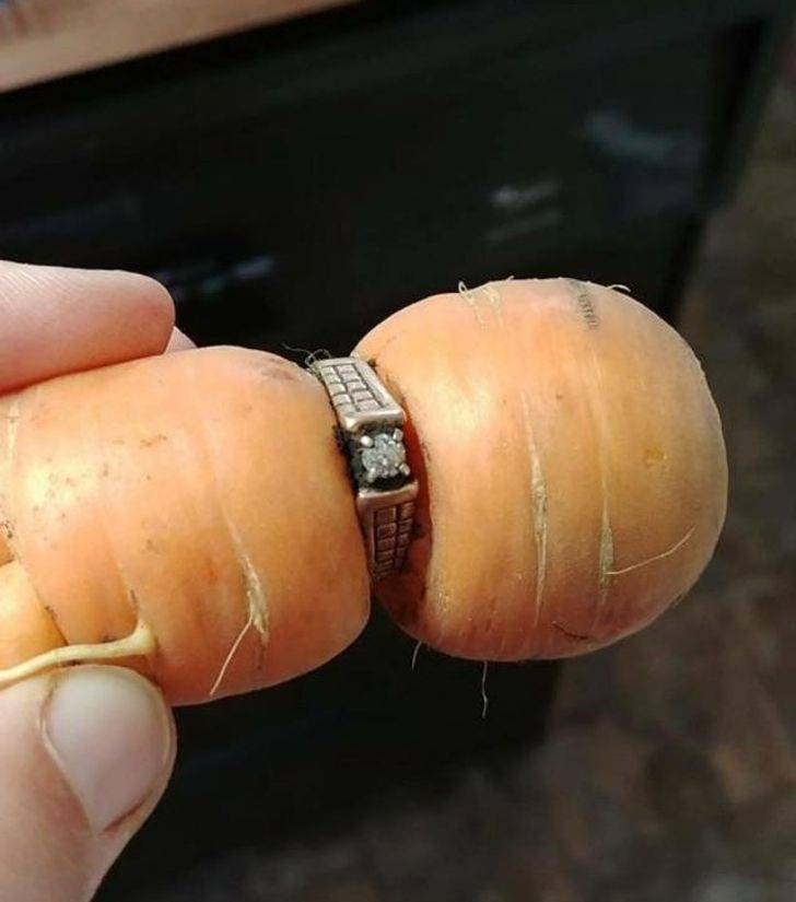 "Diamond ring missing since 2004 turns up on garden carrot."