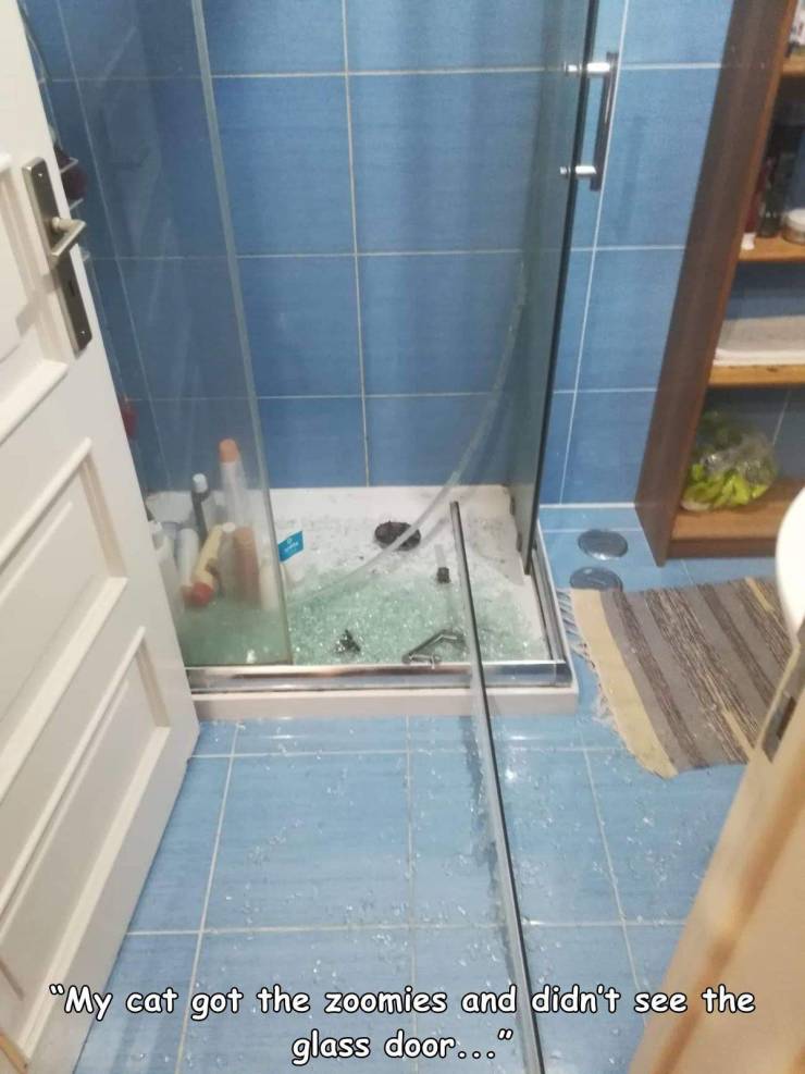 moments life sucked - tile - "My cat got the zoomies and didn't see the glass door..."