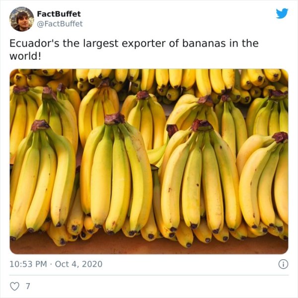 FactBuffet Ecuador's the largest exporter of bananas in the world! 7