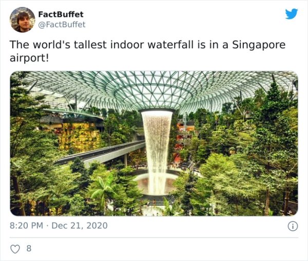 مطار سنغافورة - FactBuffet The world's tallest indoor waterfall is in a Singapore airport! 8