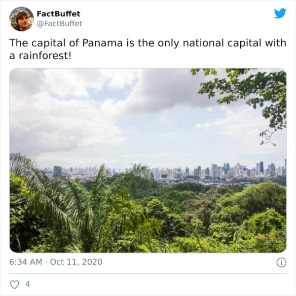 vegetation - FactBuffet The capital of Panama is the only national capital with a rainforest!