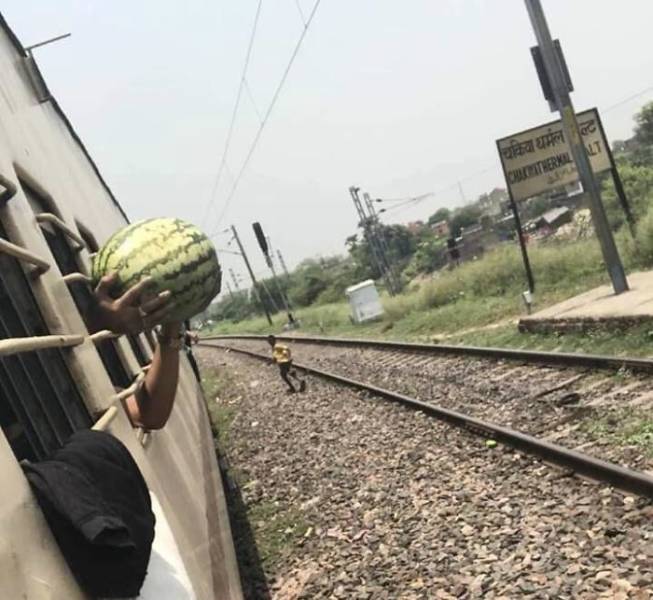 indian train watermelon - Chlopitberkilalt