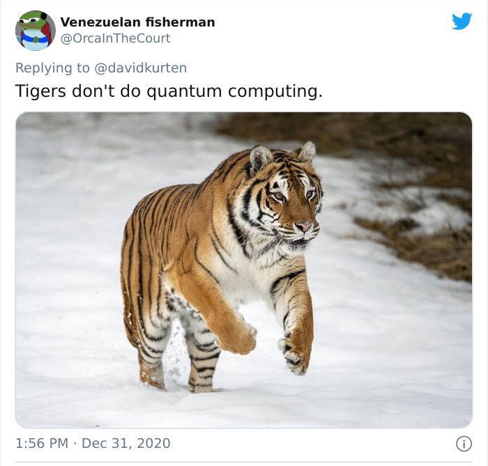 tiget - Venezuelan fisherman Tigers don't do quantum computing.