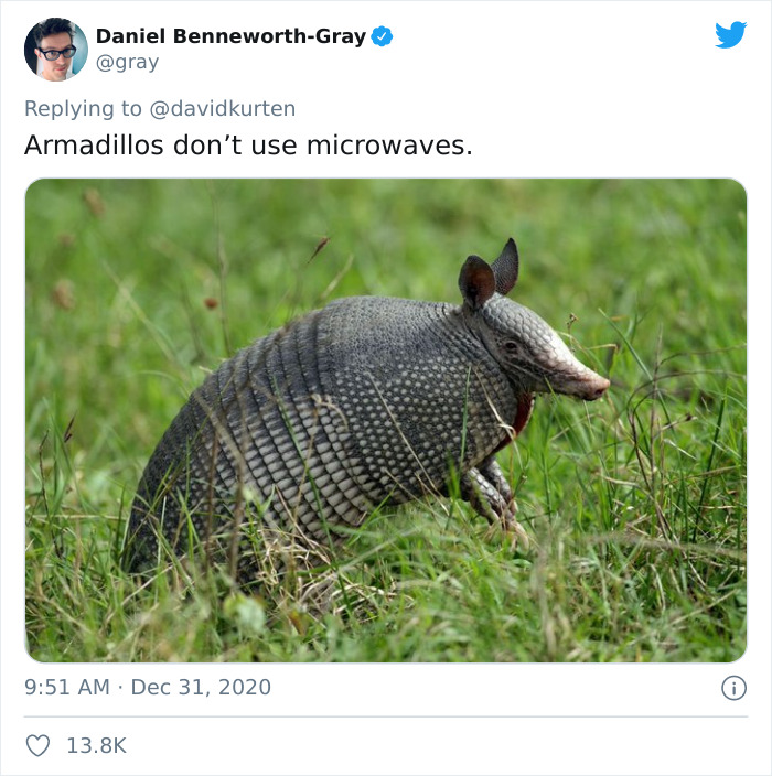 fauna - Daniel BenneworthGray Armadillos don't use microwaves.