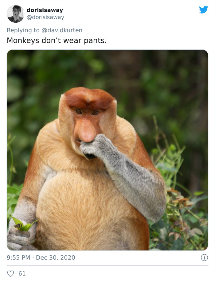 ugly animals - dorisisaway Monkeys don't wear pants. 61