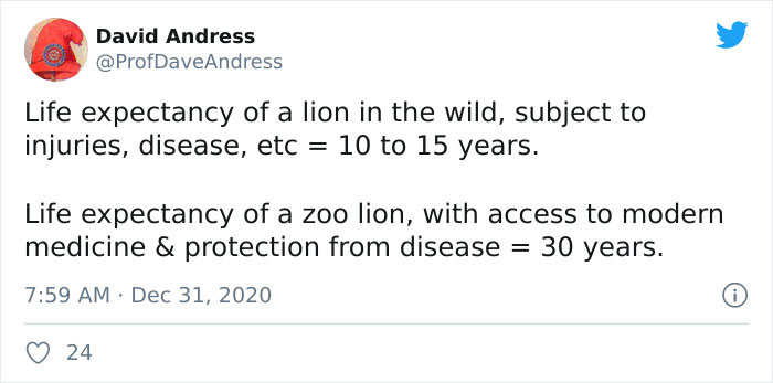 document - David Andress Life expectancy of a lion in the wild, subject to injuries, disease, etc 10 to 15 years. Life expectancy of a zoo lion, with access to modern medicine & protection from disease 30 years. 24