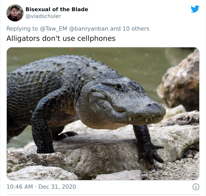 meth gator - Bisexual of the Blade @ Taw_EM and 10 others Alligators don't use cellphones