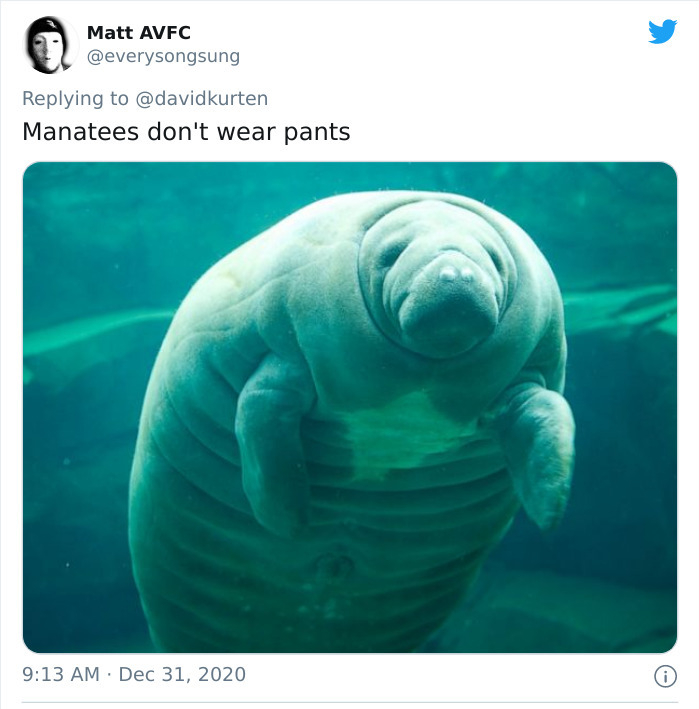 Manatee - Matt Avfc Manatees don't wear pants