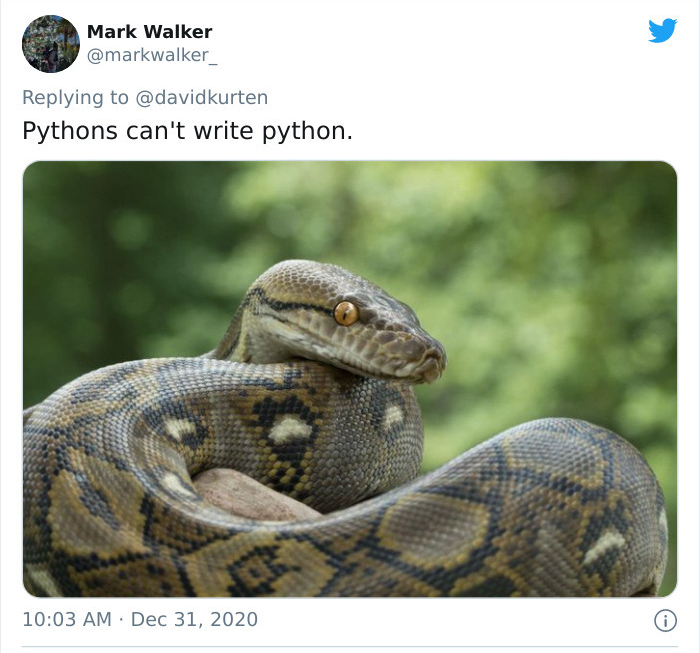 snake loose in cambridge - Mark Walker Pythons can't write python.