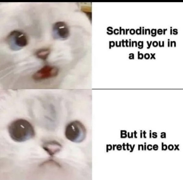 schrodinger's cat meme - Schrodinger is putting you in a box But it is a pretty nice box