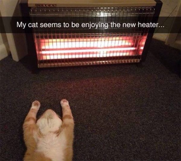 cat heater meme - My cat seems to be enjoying the new heater... Retketts