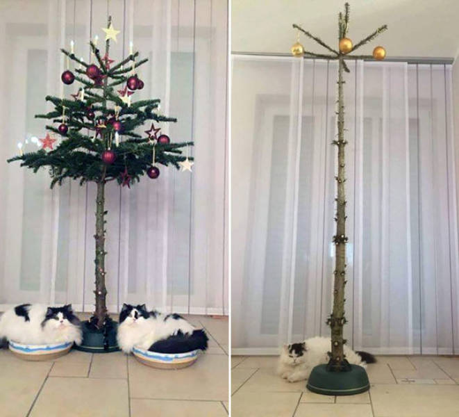 pet safe christmas tree