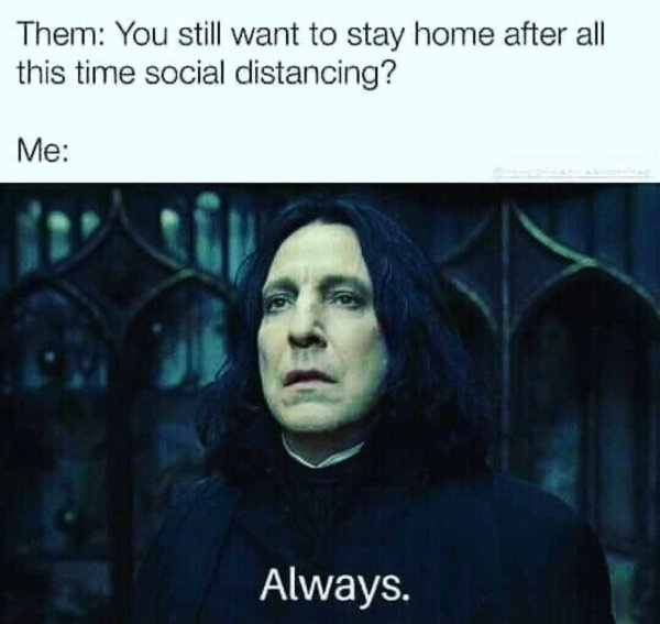 severus rogue - Them You still want to stay home after all this time social distancing? Me Always.