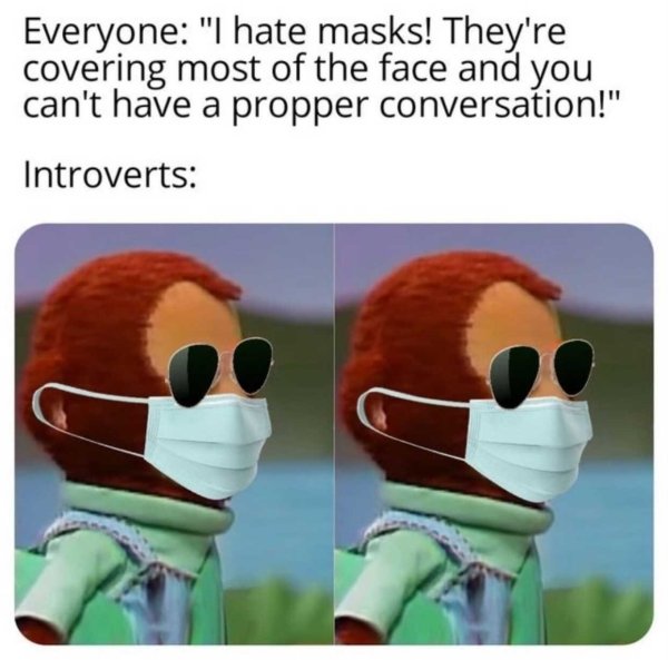 introvert mask meme - Everyone "I hate masks! They're covering most of the face and you can't have a propper conversation!" Introverts